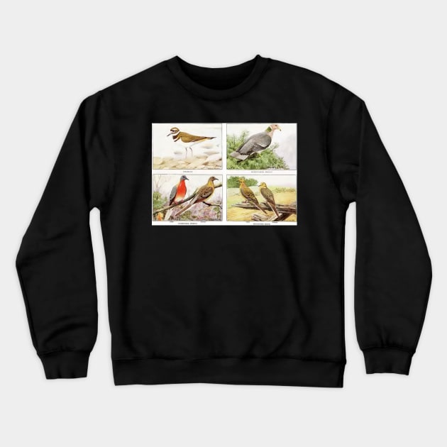 Mixed Birds Crewneck Sweatshirt by longford